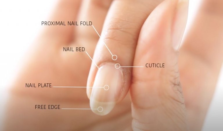 5-easy-steps-to-remove-cuticles-safely-nail-care-hub