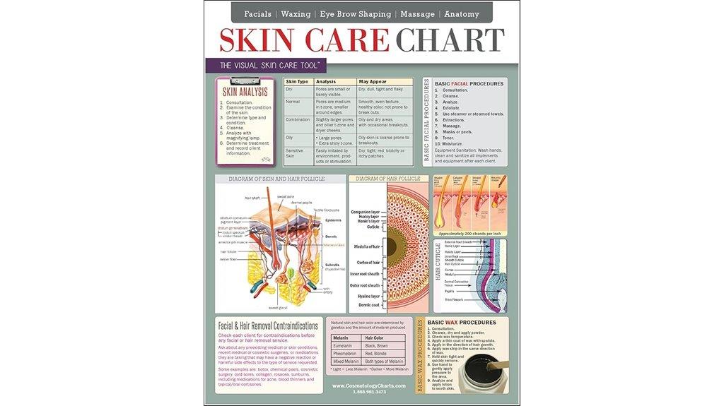 skin care chart guide