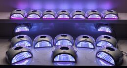 top dual wavelength nail lamps