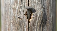 cracks move downward naturally