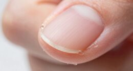 keratin s role in flexibility