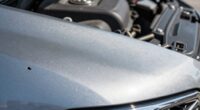 repeated chipping indicates deeper issues