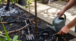 Almeda Fire Anniversary: Two Cities Trade Beauty For Ashes