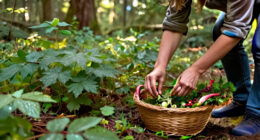 AAK Celebrates The "Wild Wisdom" Behind Sustainable Wild-harvested Ingredients